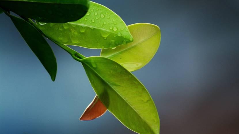 陌生人变朋友，只需掌握这几个技巧！