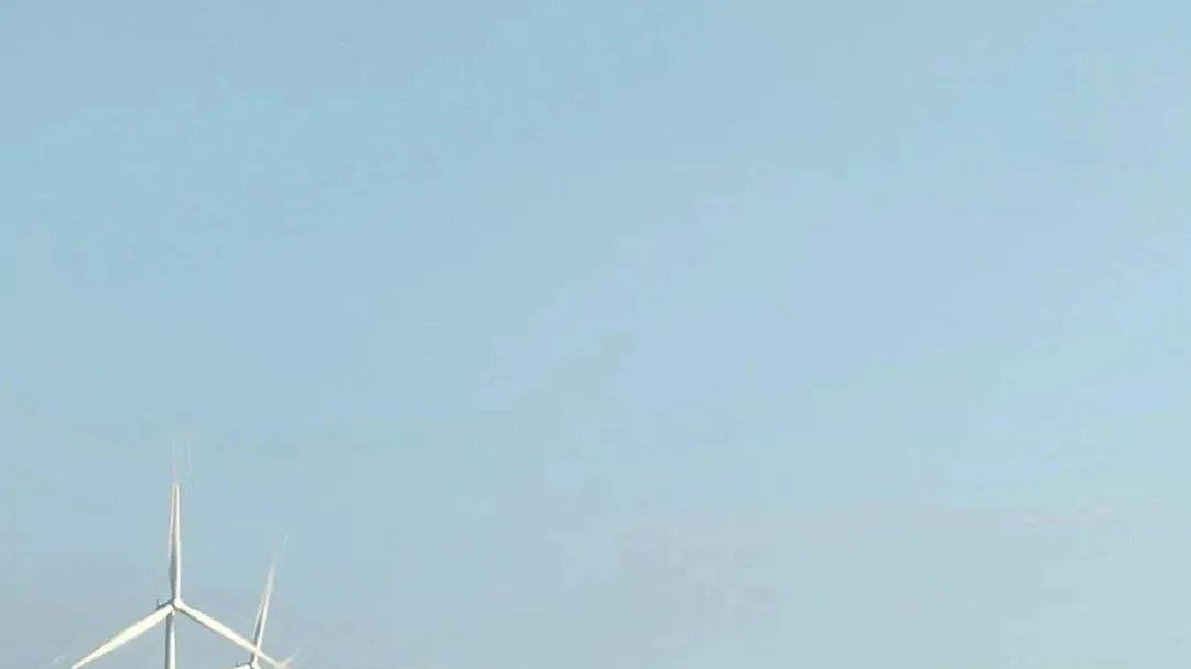 中国最“便宜”的海边城市，火龙果5毛1斤，海鱼1.5元1斤