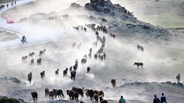 阿勒泰-古代游牧民族的繁衍之地