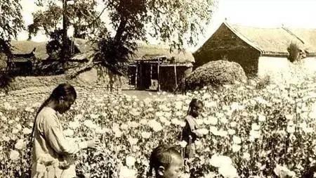 大清朝是怎么凭一己之力干掉鸦片贸易的