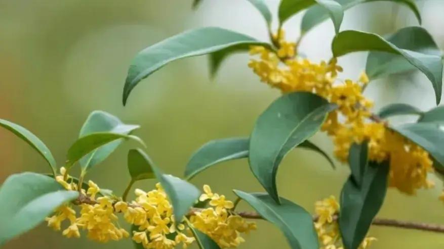 我的30年老友是一个城府极深的女人！她让我看到朋友间真实的一面