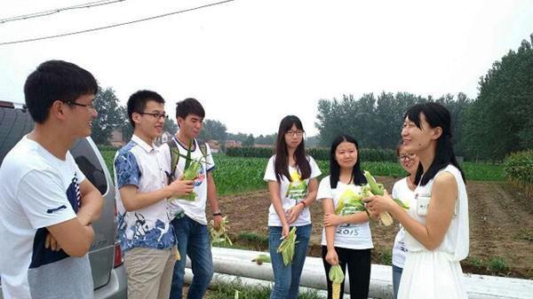 大学生村官和三支一扶哪个更好？