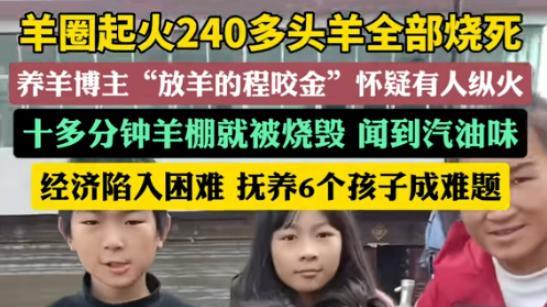 祁东一羊圈遭大火洗礼，240多只羊惨遭殃及，一家八口陷入困境