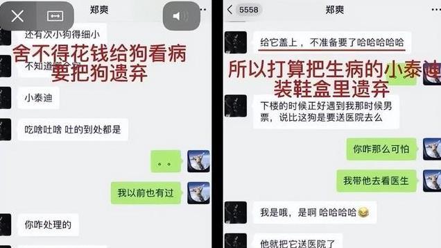 “封杀”4年后已无财产可执行，郑爽近况曝光，很可恨，也很可悲