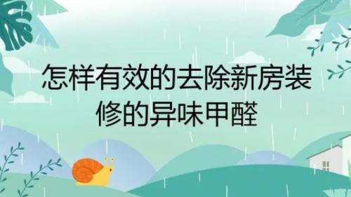 消除室内异味用什么 新房除味最快的方法