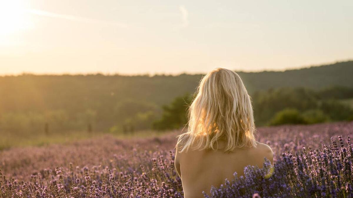 爱其实都有滞后性