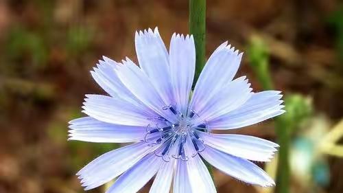 男人在这三点越“坏”，女人反而爱得更深。