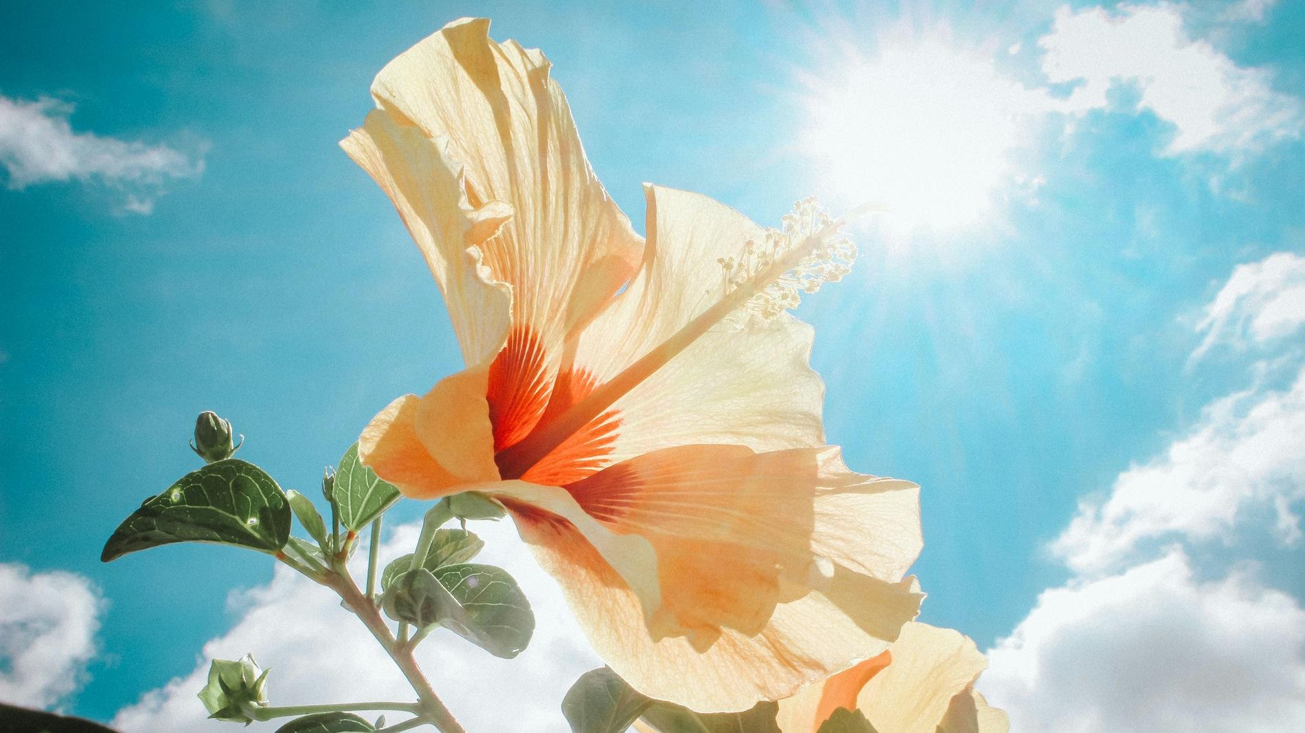 2024年转运翻身，天降大喜，属这3个生肖抽中上上签，赚钱如雨下