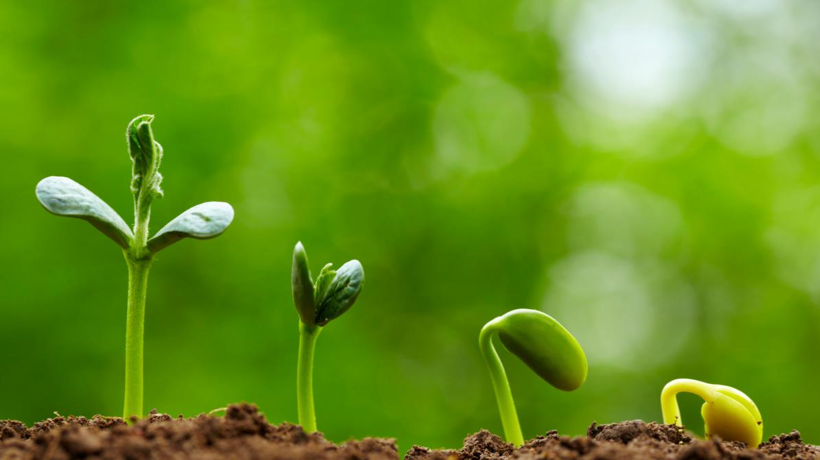 博润科技|作物抗逆：科学护航，逆境无惧！