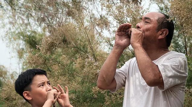 《百鸟朝凤》：一部可以“听”的电影，也是优胜劣汰下的傲骨绝唱