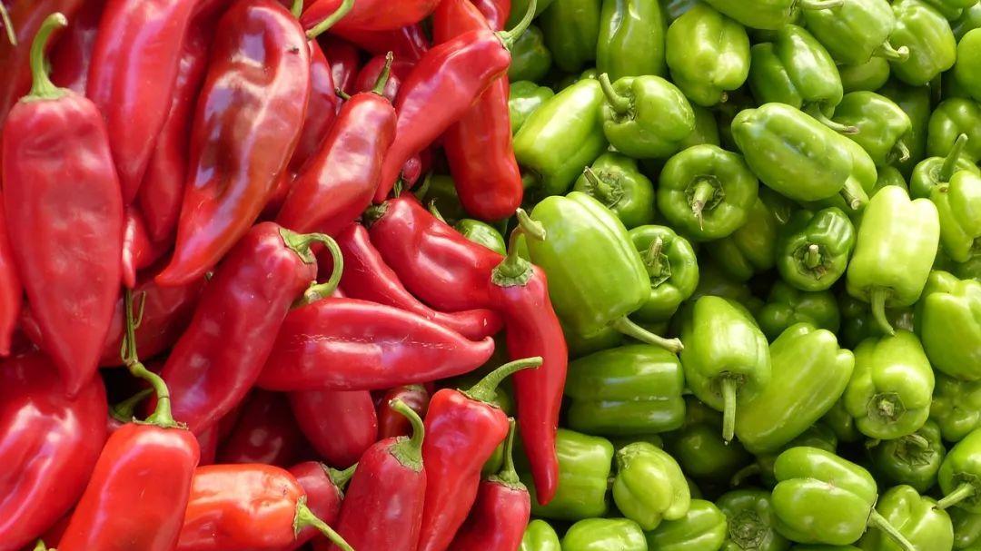 红辣椒与青辣椒：辣与不辣的秘密探秘