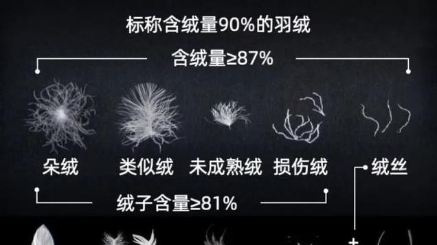 秒辨真假羽绒？我的眼睛就是尺，超简单！