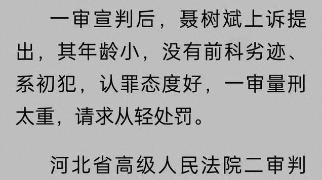 聂树彬彻头彻尾被冤，诡异的是其上诉：年龄小，系初犯，请求轻判