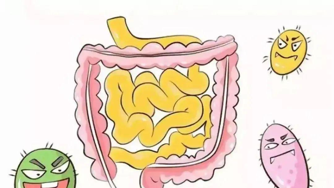 健康知识分享 | 秋季排毒的6种方法