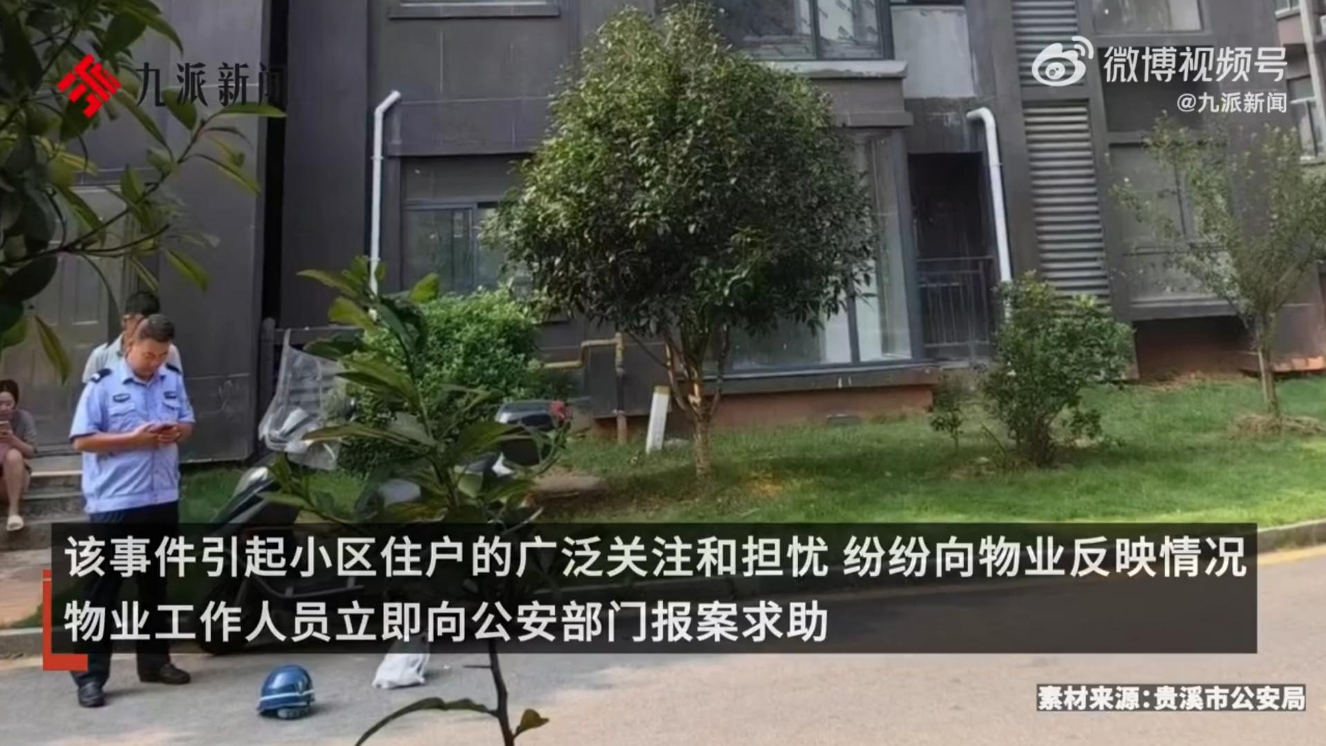 高空抛物何时休？贵溪一小区事件引发公众反思与呼吁