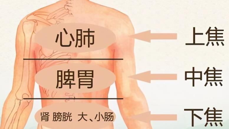 上焦堵多失眠，中焦堵多胃炎，下焦堵老得快，一招打通三焦