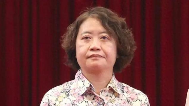 台湾“大法官”投票风云：蓝绿联手背后的政治博弈