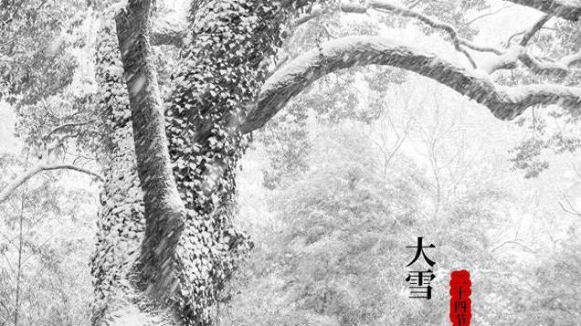 今日大雪，老话：“农民最怕大雪晴”，有啥说法？暖冬有啥不好？