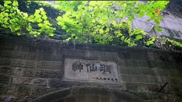 46年，军统头子戴笠坠机身亡，老蒋清算其遗产后，生气的破口大骂