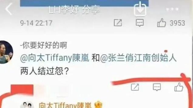 骂战升级！史晓燕火力全开和向太正面开撕，向太出面为张兰澄清