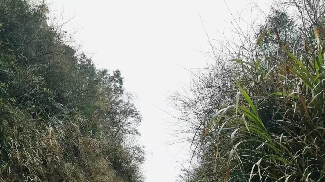 43 环道源湖35公里徒步大环线