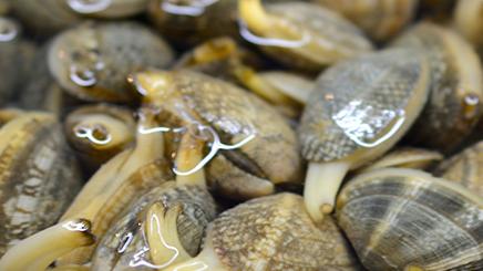 炒花甲时，很多人都会放“这味料”，难怪花甲不鲜，腥味重！