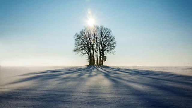 （深度美文）无雪的冬，是少了灵魂的季节