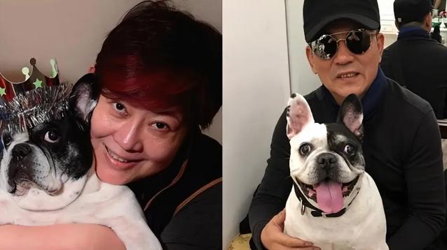 好男人孙淳：曾因长得太帅被张艺谋拒绝，与病妻患难半生，斥巨资得爱犬陪伴妻子，遗憾一生无子女