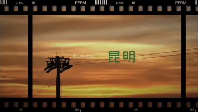 6款超好用的AI工具，帮你切实提高效率