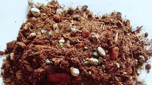 超实用的月季配土方法，赶快收藏