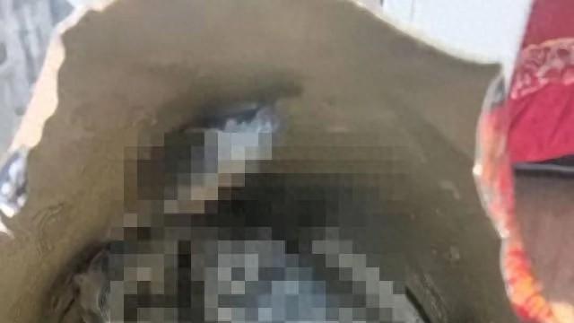 网友称旺仔牛奶疑喝出老鼠，旺旺三公子发声：食品是良心事业，很明显有人在搞事