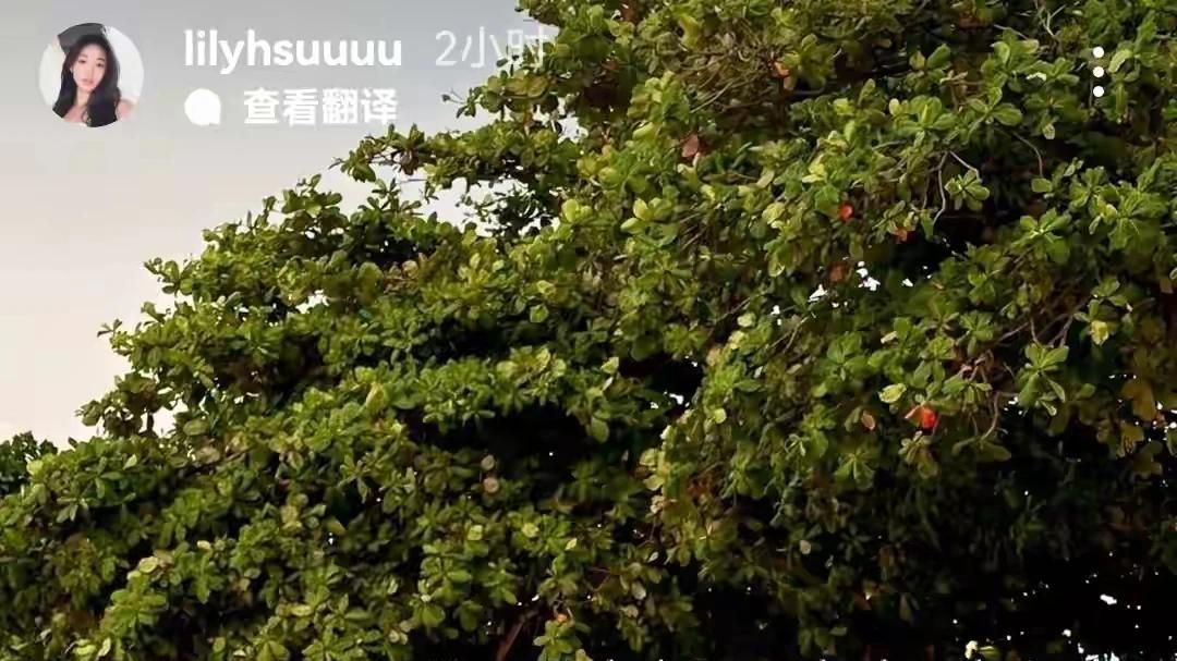 小S母亲节泪洒当场，二女儿深情表白
