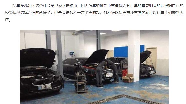高速撞鸟车灯破碎，车主质疑被认定全责，交警：难道定小鸟全责？