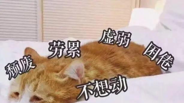 快节奏生活中的游戏绿洲，《动物王者》解锁减压新方式！