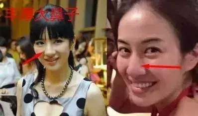 面相五官分析图相鼻，鼻相好是什么意思？