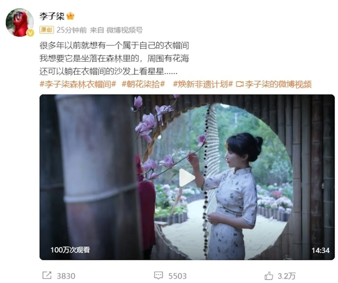 为什么会有这么多外国人喜欢李子柒？