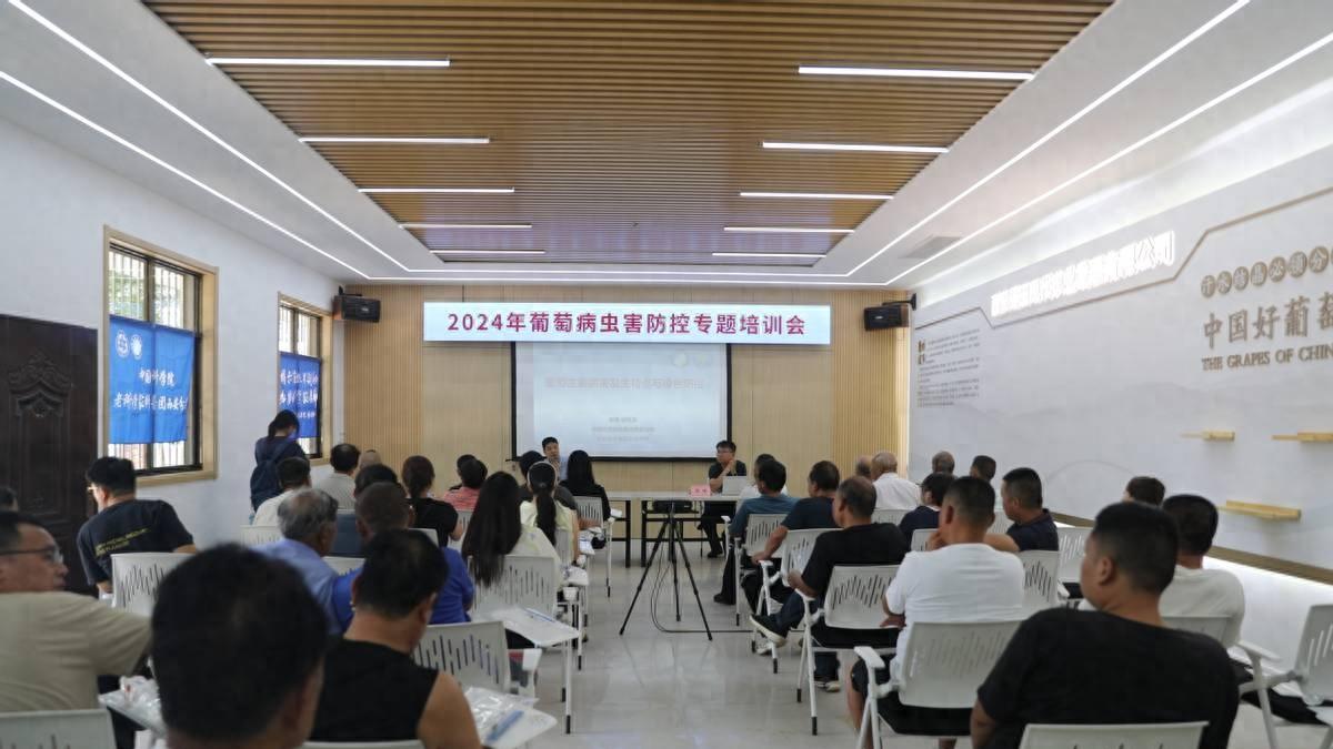 西安高新区召开2024年葡萄病虫害防控专题培训会