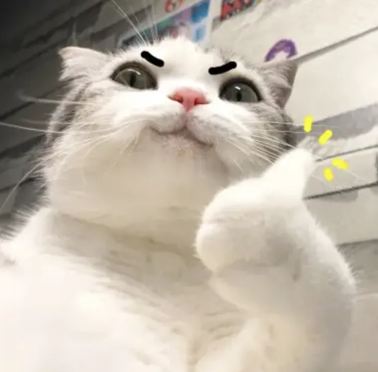 都是失眠人，谁还不是个黑夜梦想家了？