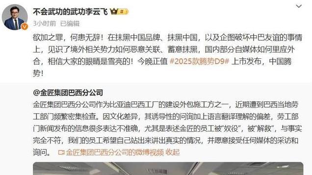 比亚迪巴西困局：巨头突围，真相几何？海外攻势受阻？