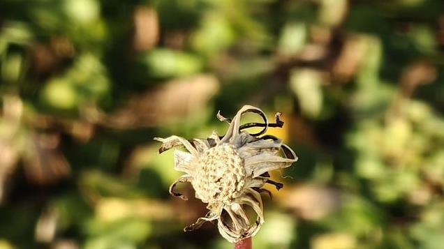 今年换了10几个手机，最正确的就是买了OPPOFindX7UItra这OTA神机