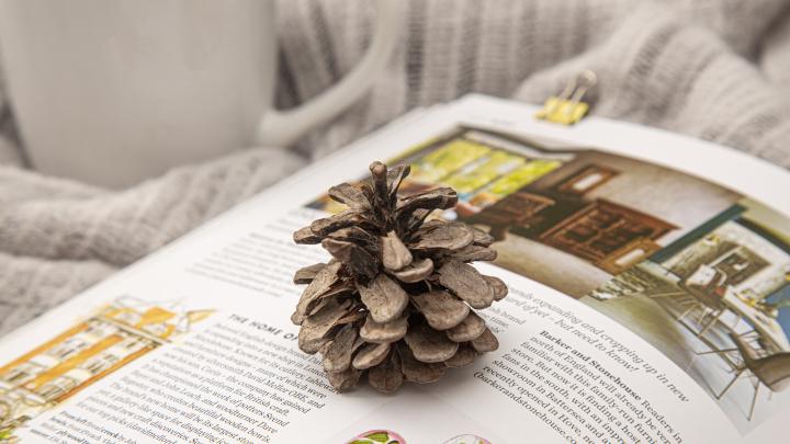 新手必看！6 款热门公众号编辑器横评96 编辑器免费好用封神