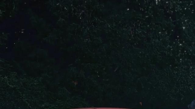 宝马又出限量车：意大利发布猎装版Speedtop, 70辆早卖完！