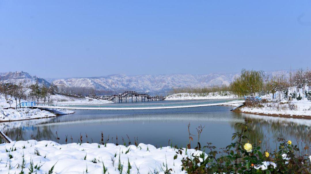 “黄河之肾·候鸟天堂”｜运城圣天湖旅游攻略：在黄土高原与母亲河的臂弯里，邂逅生态与文明的双向奔赴