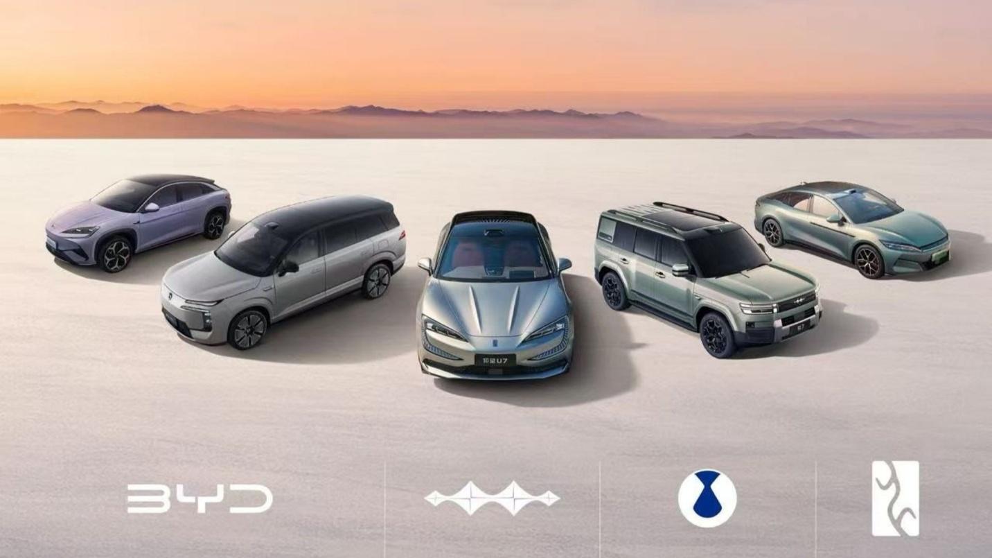 海外成最大增量：比亚迪11月创年内新高，全球化提速