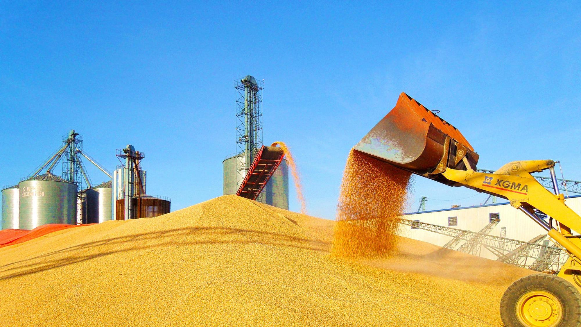 大国粮仓的底气：1.4万亿斤背后的时代答卷