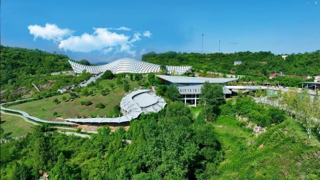 从化石标本到文旅名片，地质遗产活化的“郧阳答案”