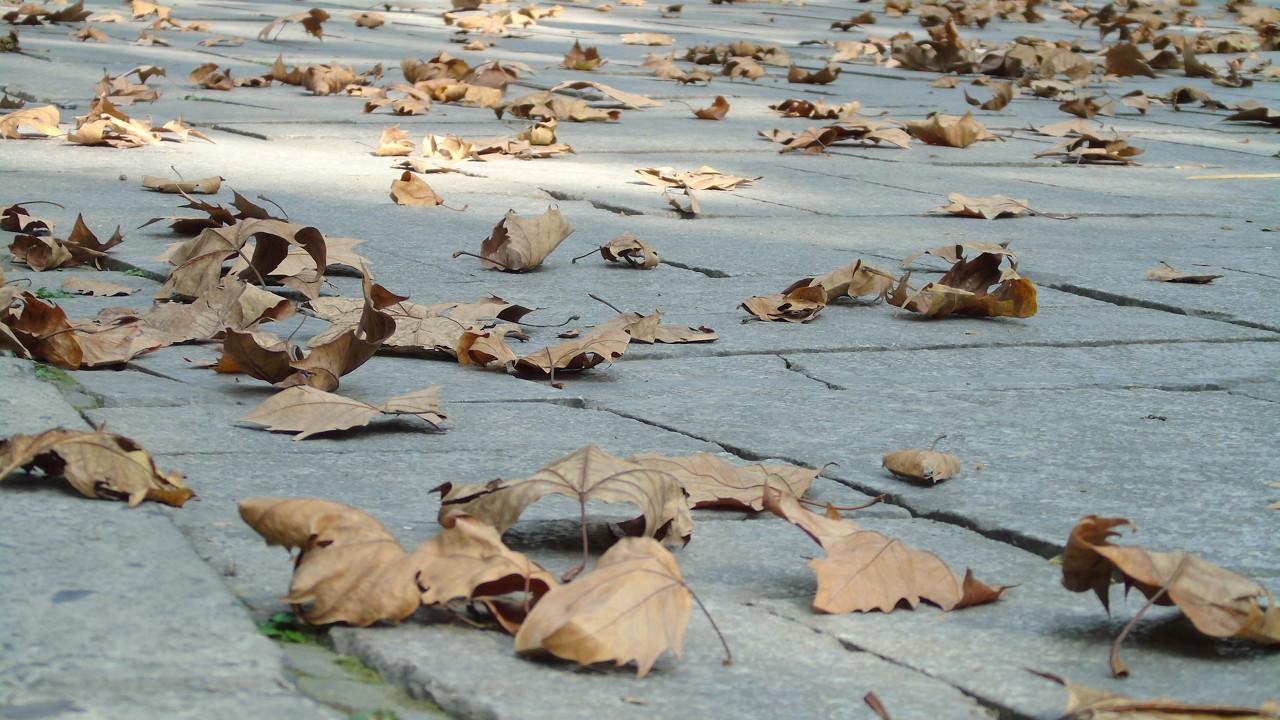 把酒送春春不语，送秋呢？