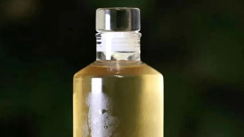 探秘冷泡茶：你泡对茶了吗？