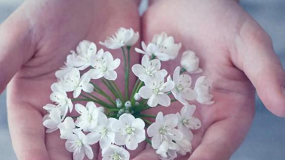 惊！28 岁女孩面对生母认亲，为 20 万救养母，这声妈喊不喊？