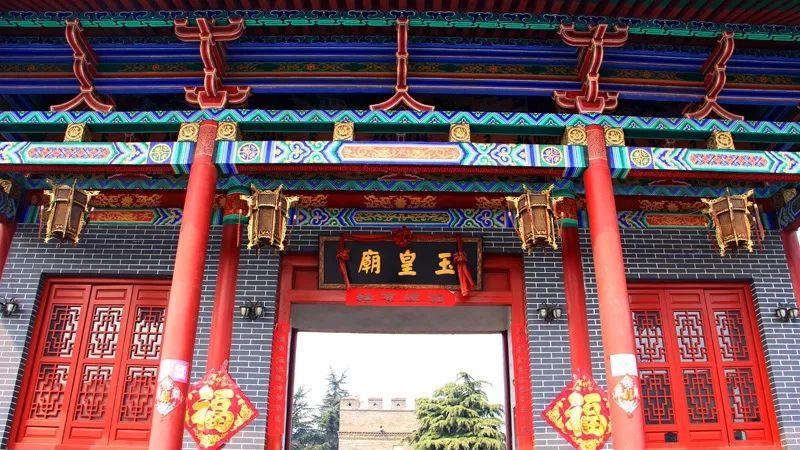 山东省滨州市阳信县：黄河三角洲的诗意密码，千年梨香与肉牛王国的魔幻交响